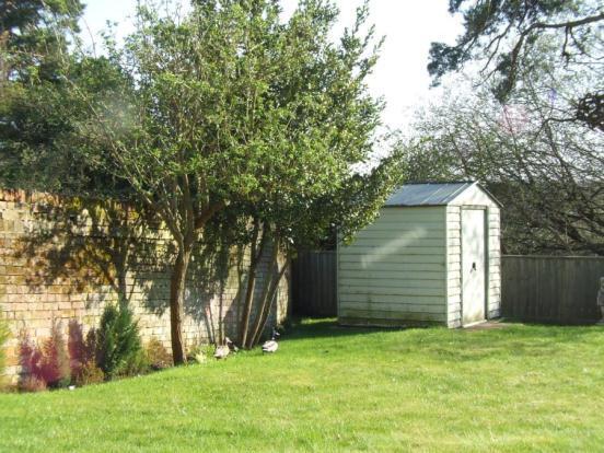 Communal Garden