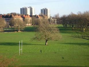 View over the common