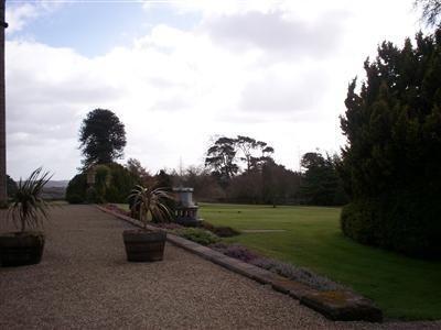 Side Terrace