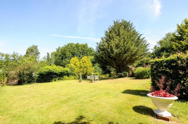 Garden 2