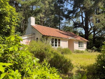 Approximately 2.75 Acres Of Beautiful Woodland