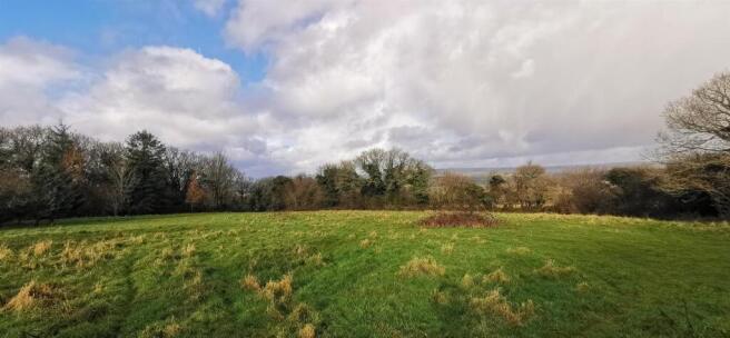 Paddock Looking North