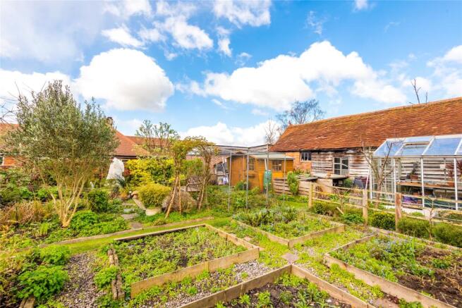 Vegetable Garden