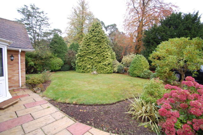 Photo 14