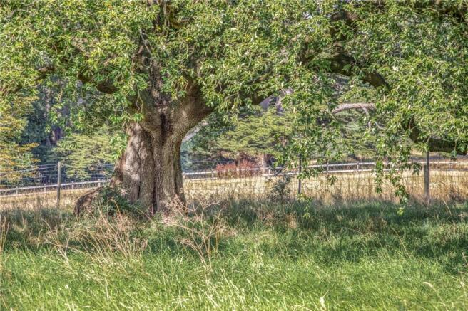 Grounds