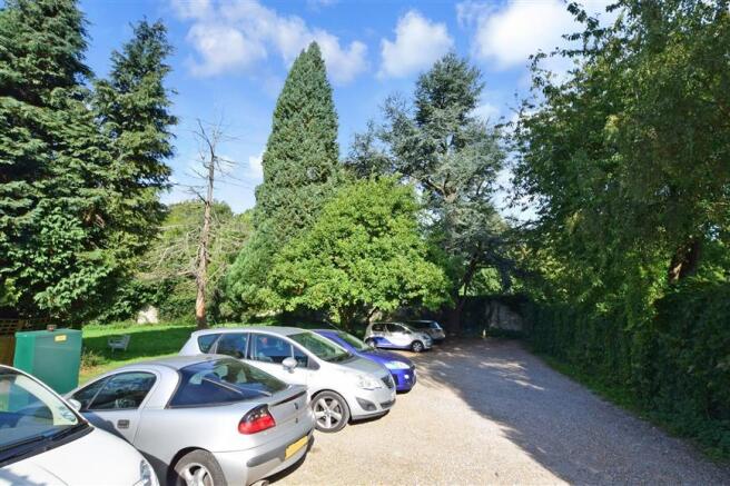 Driveway/Parking