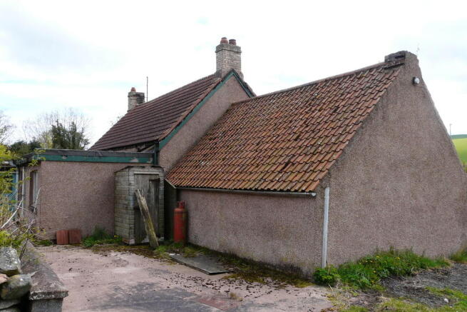 REAR 2