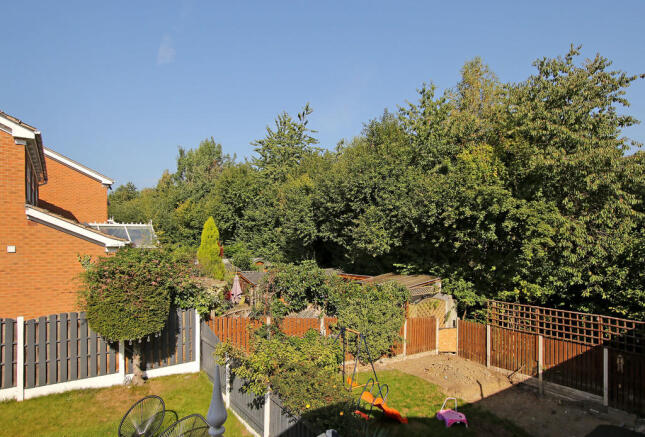 Photo 25