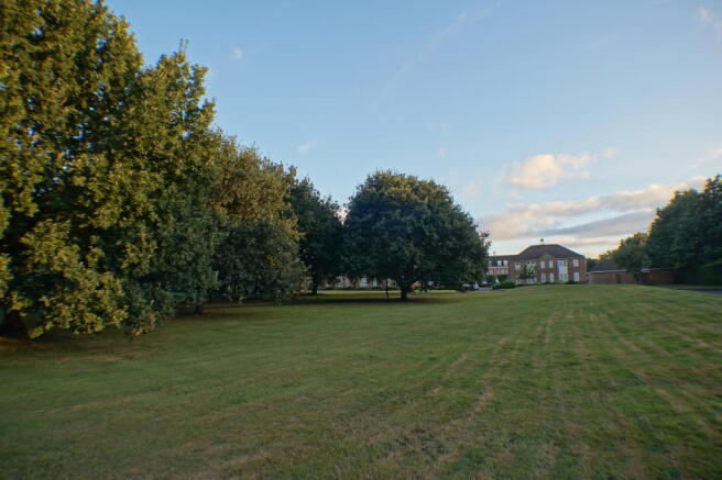 Communal Grounds
