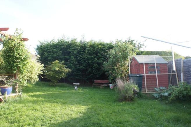 Photo 15