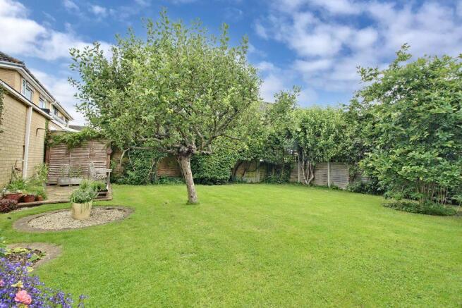 Garden at Back