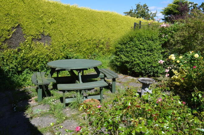 Photo 24