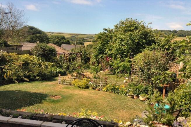 Garden in summer