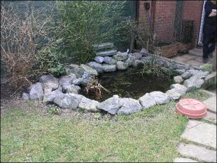 pond
