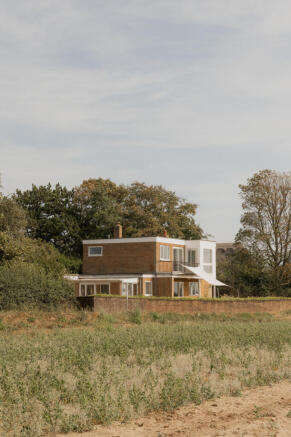 307329 - Seagulls, Walberswick-5.jpg