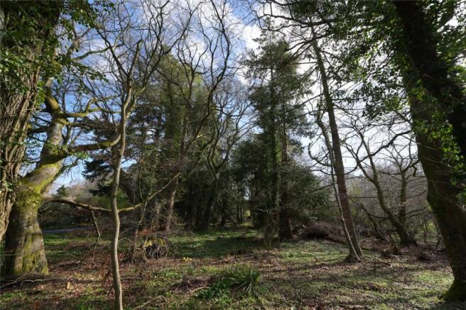 Dower House Plot