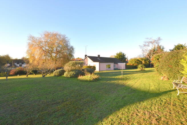 Photo 02