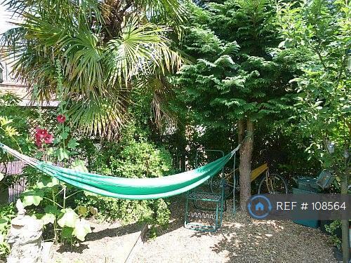 Garden In Summer