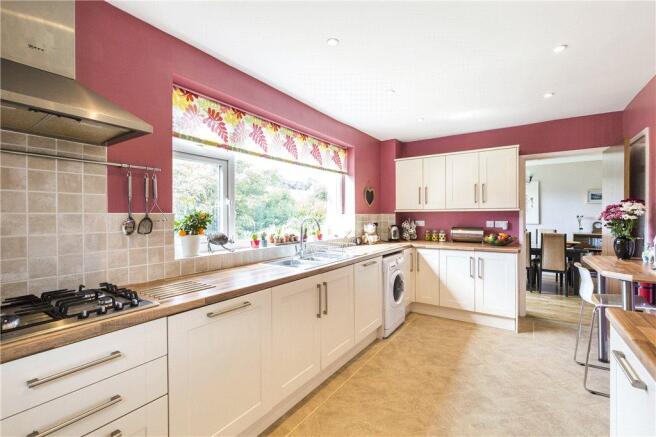 Modern Kitchen