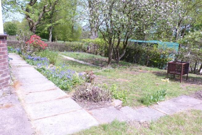 garden.