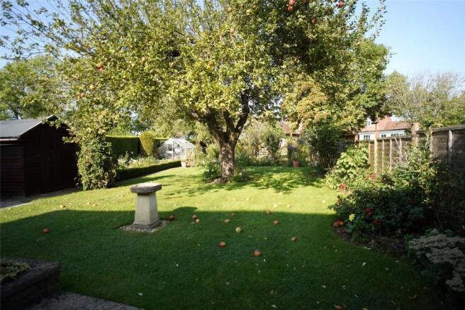 Garden 1