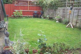 back garden