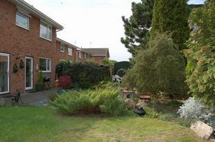 Rear Garden View 2