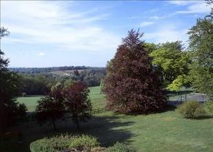 Garden & View