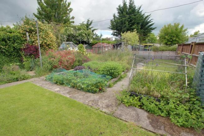 Rear garden - summer