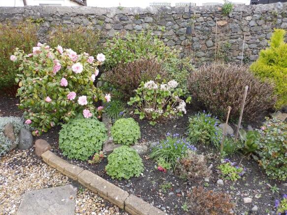 Back Garden 