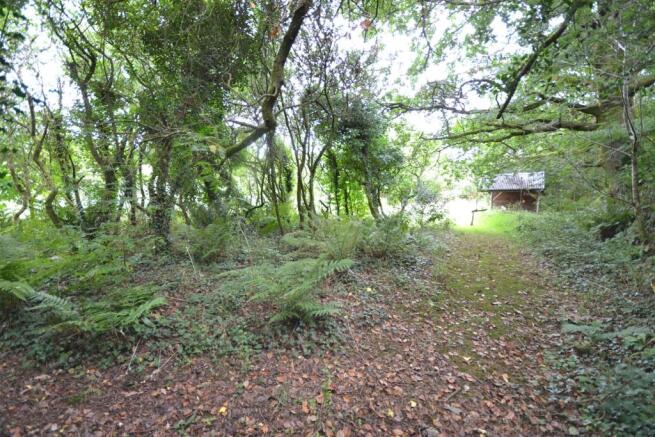 Woodland and gardens