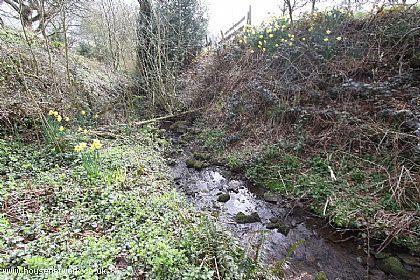 Photo 49