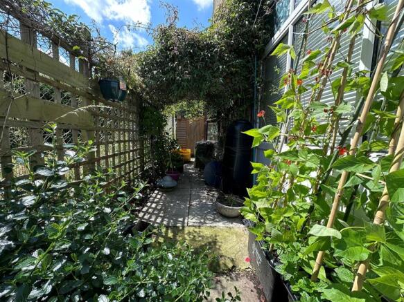 side garden.jpg