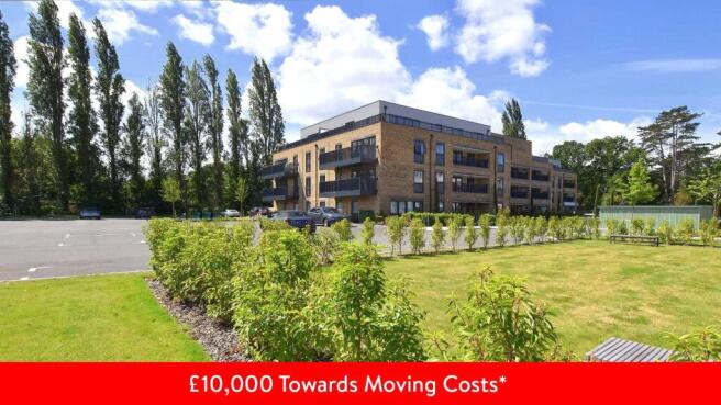 Picture No. 53
