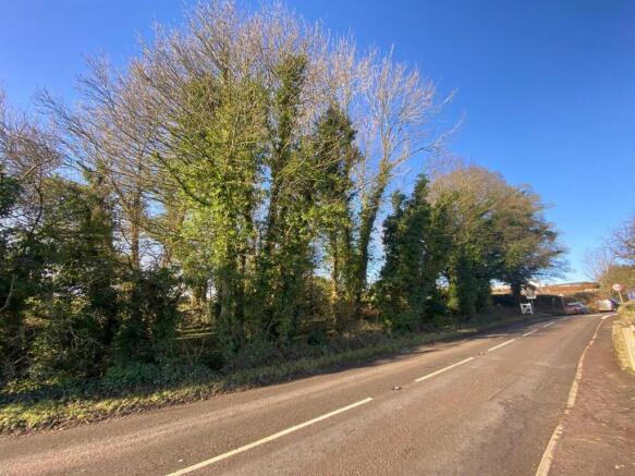 Roadside View