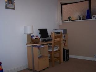 Study Area