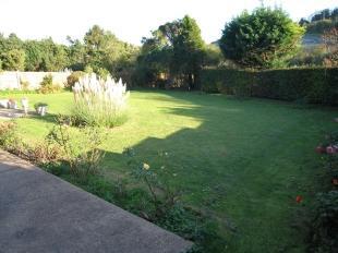 Rear Garden (2)