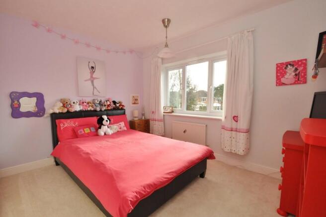Photo 15