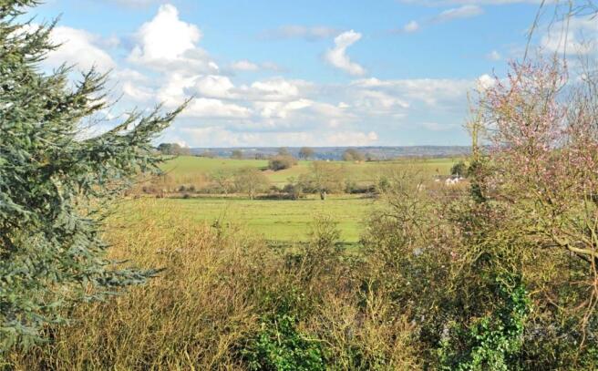 Exe Valley Views