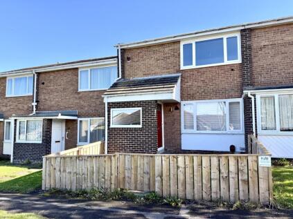 Fines Park, Stanley, County Durham, DH9