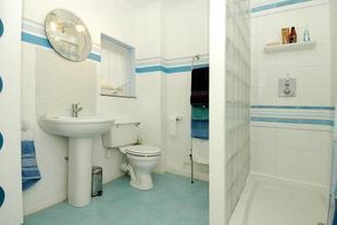 Downstairs Shower Room
