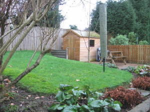 Photo 4