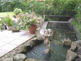 Rear Garden 1