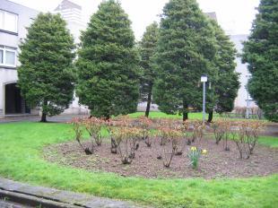 Communal Rear Garden
