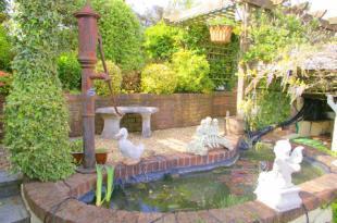 Pond