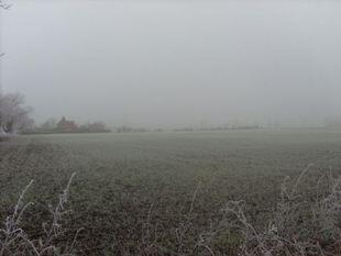 Rural Views