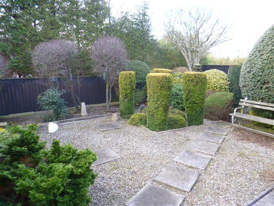 Rear garden 2