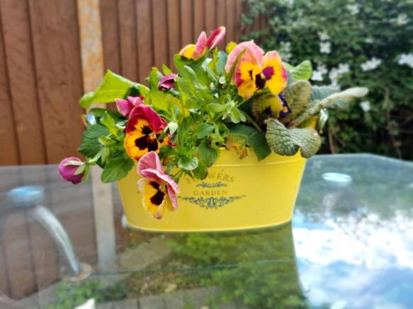 Photo 11