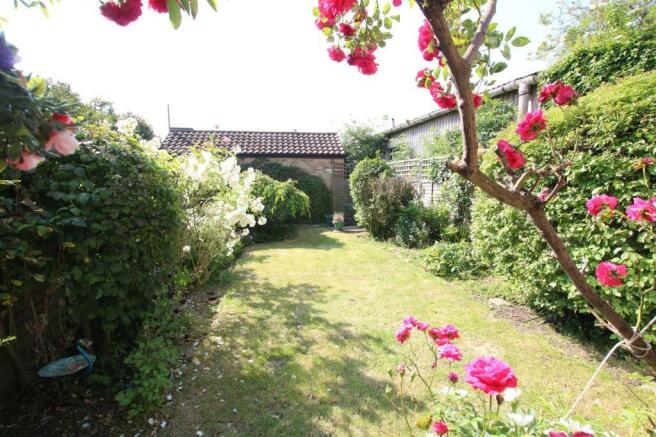 Garden 1.JPG