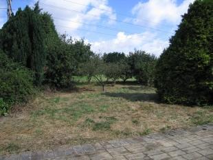 Grounds